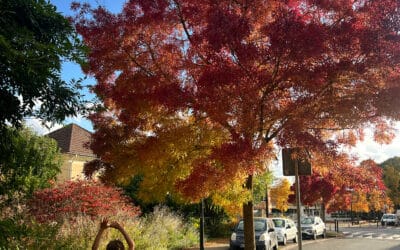 Ma communication ne me ressemble plus : quand c’est le bon moment pour revoir son positionnement